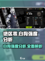 绝区零：白狗强度爆表🔥，轻松躺赢不是梦！