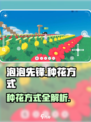 泡泡先锋种花攻略💥，新手必看🌸
