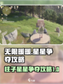 无限暖暖柱子上的星星怎么争介绍