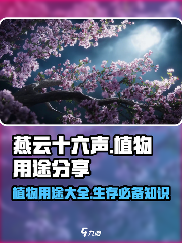 燕云十六声植物的用途分享介绍截图1