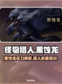 怪物猎人：荒野黑蚀龙🔥超强攻略来袭！