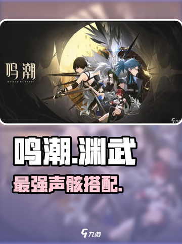 鸣潮渊武声骸神搭配🔥💥截图1