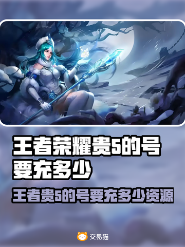 🎮王者贵5的号要充多少？超值推荐看这里！截图1