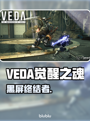 VEDA觉醒之魂黑屏？1招秒解决！💥截图1