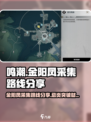 鸣潮🔥金阳凤采集路线分享！忌炎突破材料速刷攻略✨