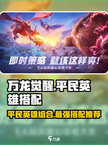 万龙觉醒🔥平民最强英雄组合分享🎉截图1