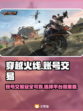 穿越火线账号交易🔥靠谱平台大揭秘！