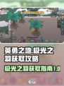 英勇之地🔥极光之羽获取秘籍✨