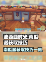 波西亚时光南瓜派怎么获取介绍