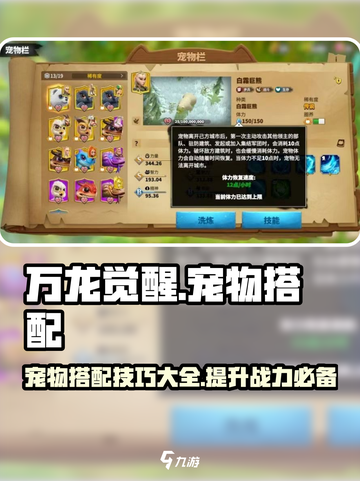 万龙觉醒🔥宠物搭配秘籍，助你战力飙升！截图1