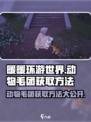 无限暖暖动物毛团获取方法大公开！🎮🐾