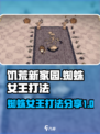 饥荒新家园蜘蛛女王怎么打介绍