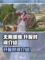 无限暖暖💥正式开服！游戏时间全揭秘🎮