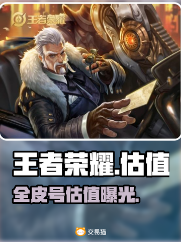 王者荣耀全皮号值多少💰截图1