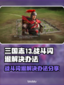 三国志13战斗闪退💥解决办法来了！💡