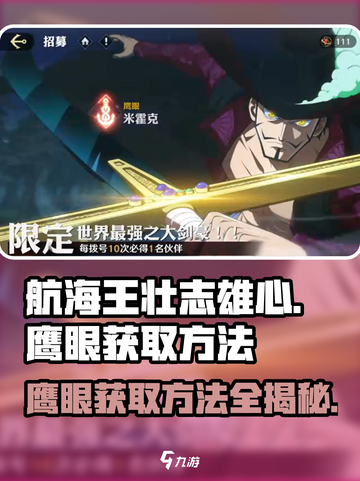 《航海王壮志雄心》🔥鹰眼获取秘籍🎉截图1