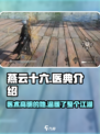 燕云十六声明川医典怎么样介绍
