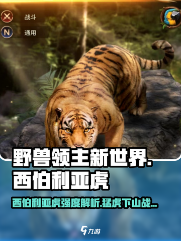 《野兽领主》新世界🔥西伯利亚虎角色强度全面解析！截图1