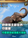 野兽领主新世界：印度象技能🔥超详细强度分析！🐘