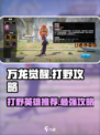 万龙觉醒打野攻略介绍介绍