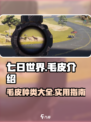 七日世界毛皮介绍介绍
