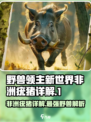 《野兽领主新世界》非洲疣猪🔥超强详解来啦！