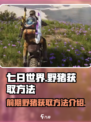 七日世界前期野猪怎么获得介绍