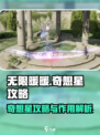 无限暖暖奇想星攻略介绍