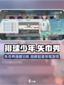 排球少年手游🔥矢巾秀强度分析来了！还不快看？