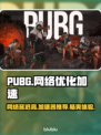 PUBG延迟高？用这个加速器🔥网络飞起！🎮