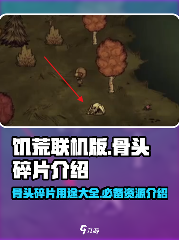 饥荒联机版骨头碎片是什么介绍截图1