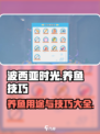 波西亚时光养鱼有什么用介绍