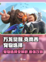 万龙觉醒克岚西宠物怎么选介绍
