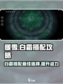 暖雪手游白霜搭配🔥最强攻略分享！💡