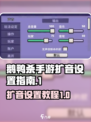 鹅鸭杀手游扩音如何设置介绍