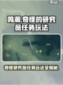 鸣潮奇怪的研究员任务怎么玩介绍