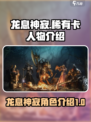 龙息神寂稀有卡人物有哪些介绍