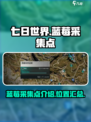 七日世界蓝莓采集点介绍介绍