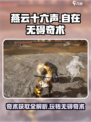 燕云十六声✨：自在无碍奇术获取全攻略！