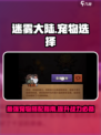 迷雾大陆🔥宠物选择全攻略！带你飞速上分👇