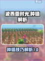 波西亚时光如何种植介绍