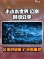 小小水世界公测是什么时间介绍