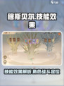森之国度穆斯贝尔怎么样介绍