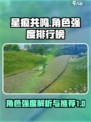 星痕共鸣角色强度排行榜介绍