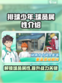 排球少年手游球员属性介绍介绍