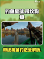 《钓鱼星球》带纹狗鱼爆钓技巧！🎣