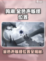 鸣潮金色声骸怪位置都在哪介绍