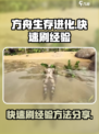 方舟生存进化手游如何快速获得经验介绍