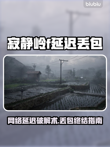 🎮寂静岭F延迟丢包？速看解决方法！截图1