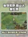 挨饿荒野罗马尼亚高山人参在哪里介绍